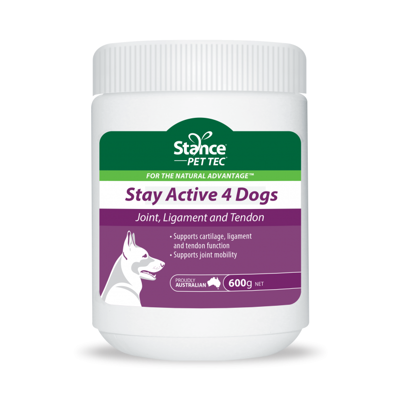 Stay Active 4 Dogs®