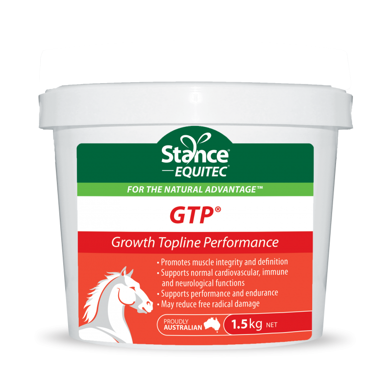 Gtp Performance GTP: Growth, Topline and Performance | Stance Equitec