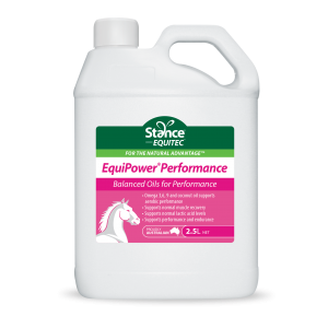 EquiPower Performance